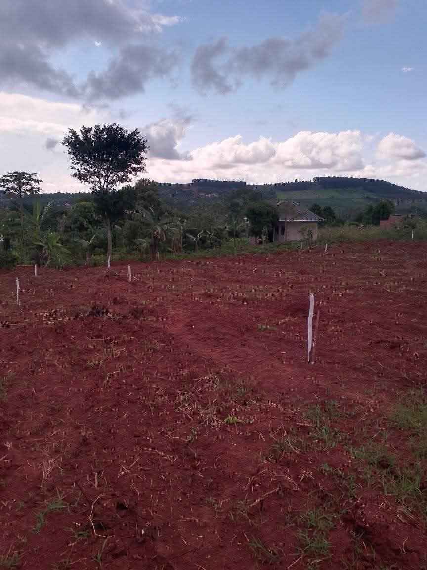A picture of Plot 60ftx40ft