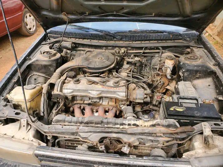 A picture of Sienna first body