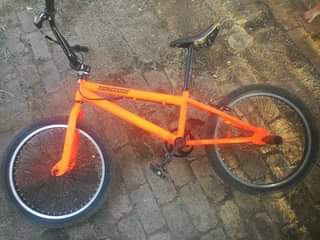 Dewald O.