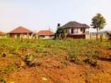 A picture of Busubuzi deal 50ft 100ft agreement plot on sale located at