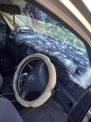 A picture of Toyota spacio