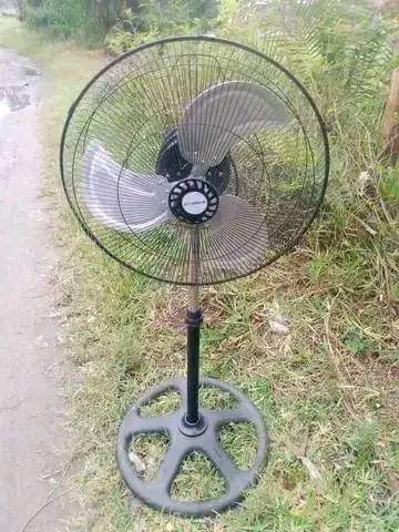 fans
