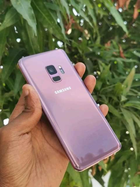 A picture of S9