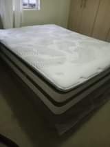 sealy