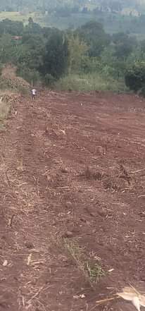 A picture of Plots for sale
