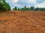 A picture of 50BY100 WITH READY LAND TITLE AT 10M ONLY WAKISO