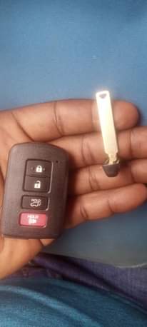 A picture of Automobile programmer