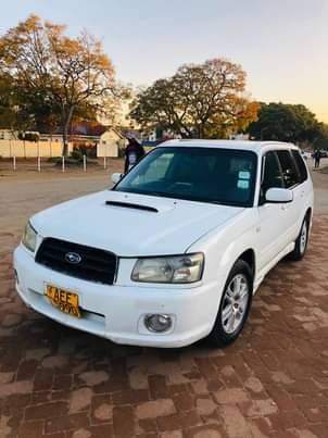 subaru forester