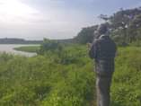 A picture of Land