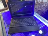 A picture of Acer