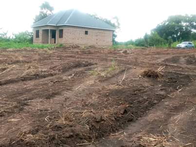 A picture of  CHEAP PLOTS All installments allowed PRICES 50 50ft............................ 3m