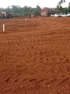 Ssentumbwe B.