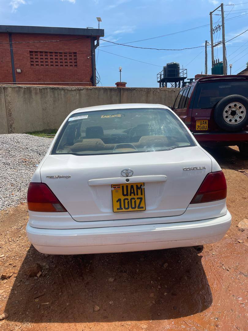 A picture of COLLORA 6 5M CALL0701488581 WHAT S APP 0776417404