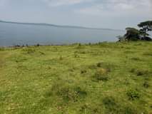 A picture of Land Touching Lake Victoria for Sale