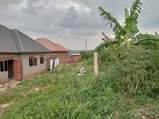 A picture of 50 100fts for sale at mpererwe katta along buwambo road