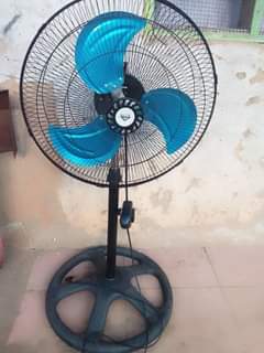 fans