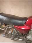 A picture of Bajaj Boxer