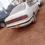 A picture of 4 9m 0705627113