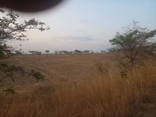 rooms to rent harare