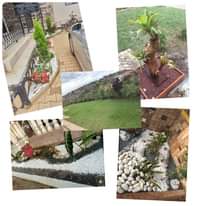 A picture of Rachels outdoor flower designs