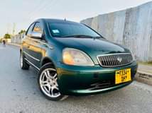 A picture of Vitz