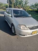 used toyota runx