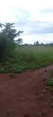 A picture of 100 acres Zirobwe Kakakara 15m per acre Private mailo land