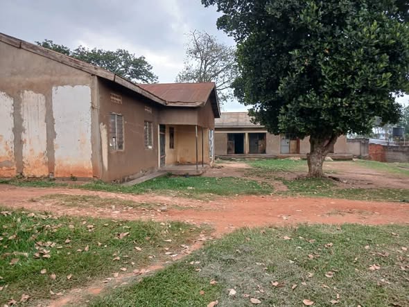 houses for rent