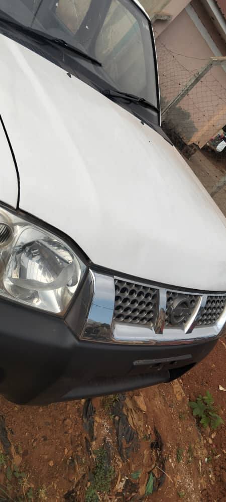 A picture of Nissan hard body