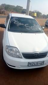 Thapelo M.