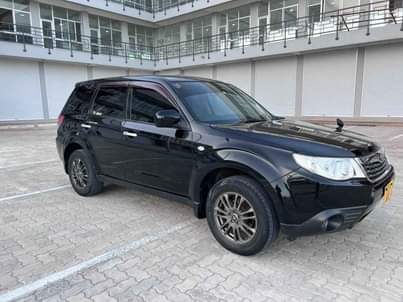 A picture of SUBARU FORESTER