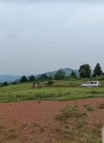 A picture of PRIME PLOTS MEASURED 50 100FT FOR SALE LOCATED ENTEBBE EXPRESS