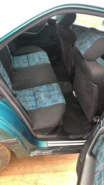 A picture of Mercedes