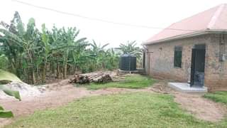 A picture of Half acre for sale 100m ugx with land TITTLE.