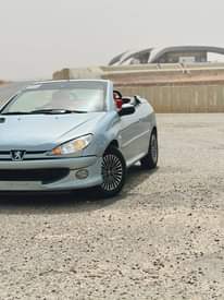 A picture of Peugeot 206 Convertible