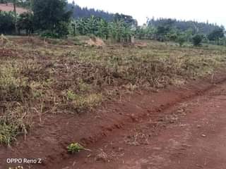 A picture of QUICK QUICK IN WAKISO KONA AT UGX18M QUICK QUICK IN