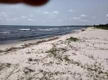 A picture of LAND