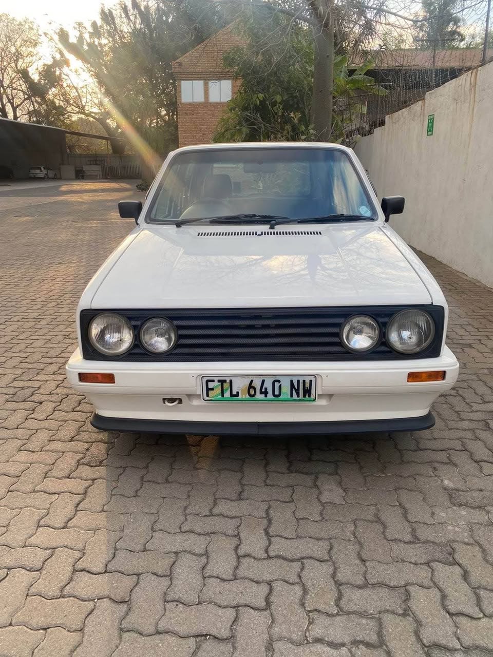 daily runner
