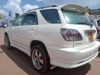 Kabuuza M.
