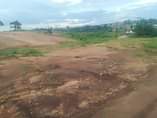 A picture of Plot