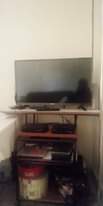 A picture of Tv