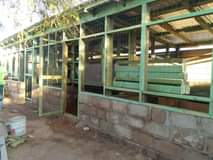 A picture of Fundi mabanda ya kuku