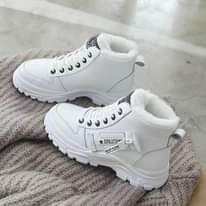 A picture of Evolution new model