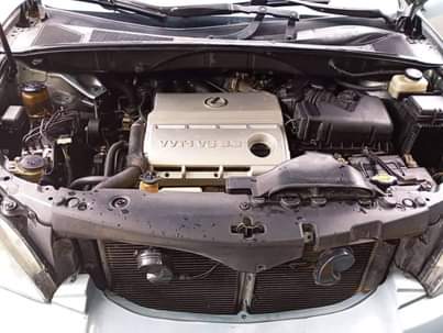 A picture of 2005 RX Lexus 2005