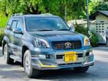A picture of Prado Tx new model