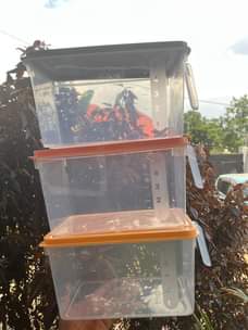 A picture of Fridge organizers