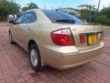 A picture of Premio New Model