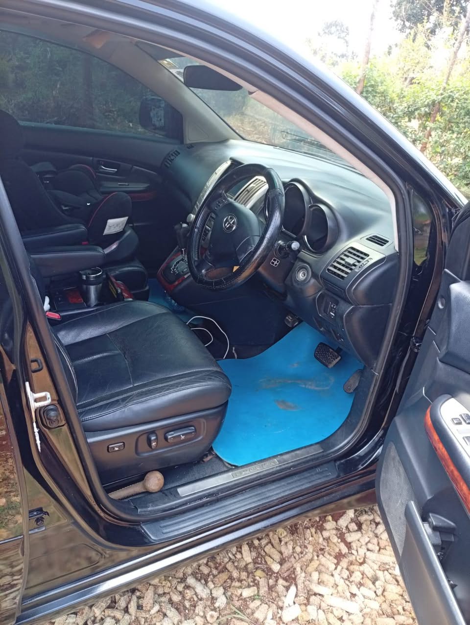 A picture of Harrier 240