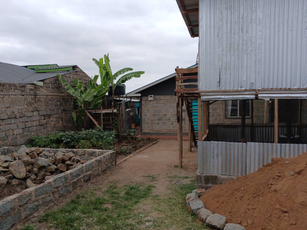houses for sale