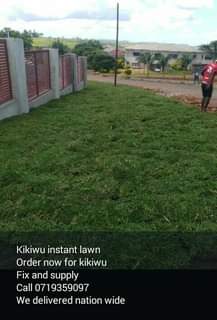 landscaping ssrvices
